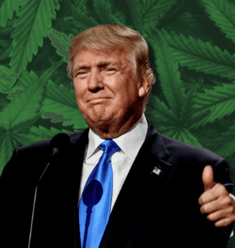Trump EO easing access or decriminalizing weed by Friday?