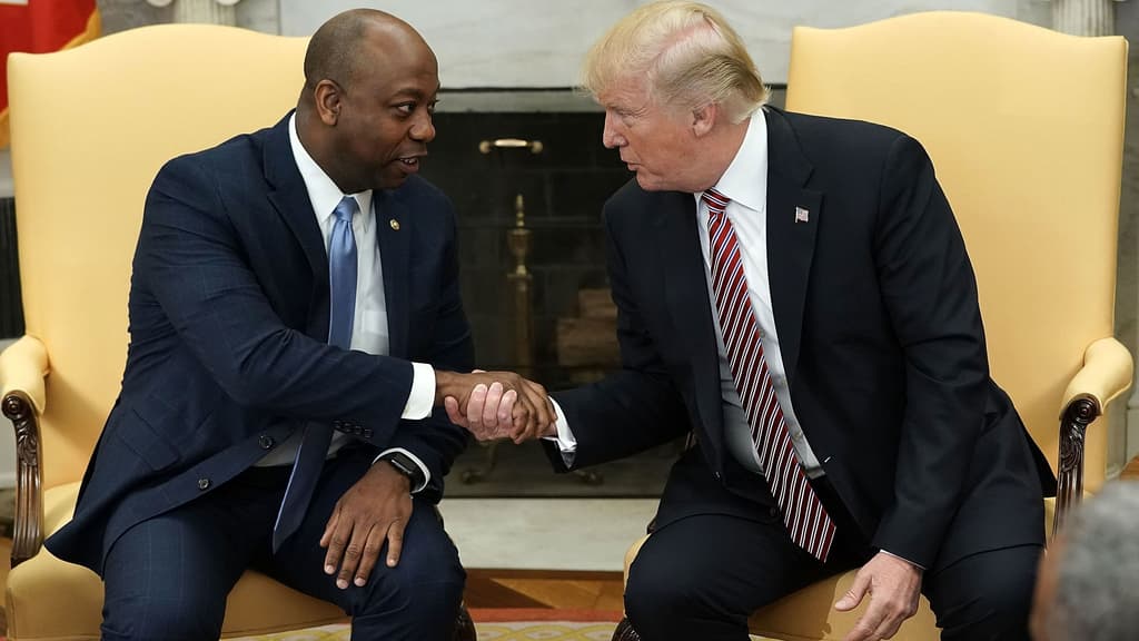 Trump gets more black voters than in 2020?
