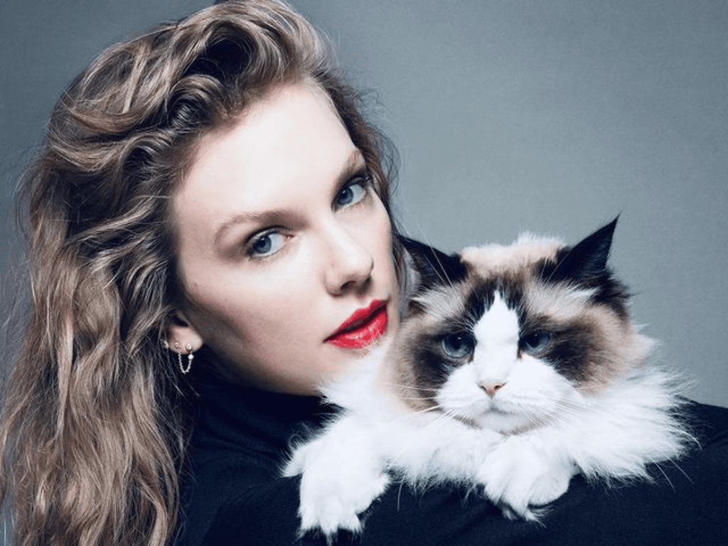 Will Kamala do better than Biden with unmarried women?